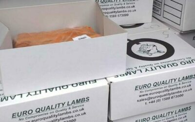 Your Qurbani: A blessing delivered