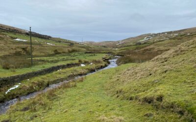 Spotting Deers, Community Bonding, and Revelling in Nature